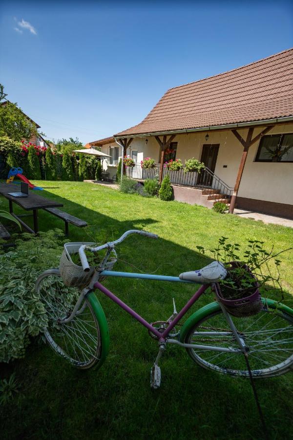 Siebenbuerger Haus Villa Nagyszeben Kültér fotó